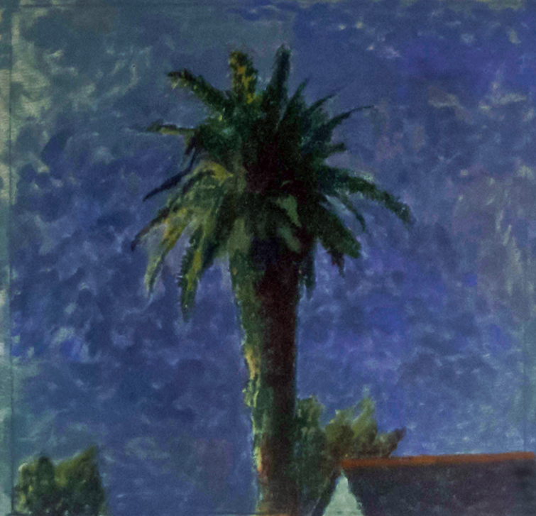 A House and a Palm at Night