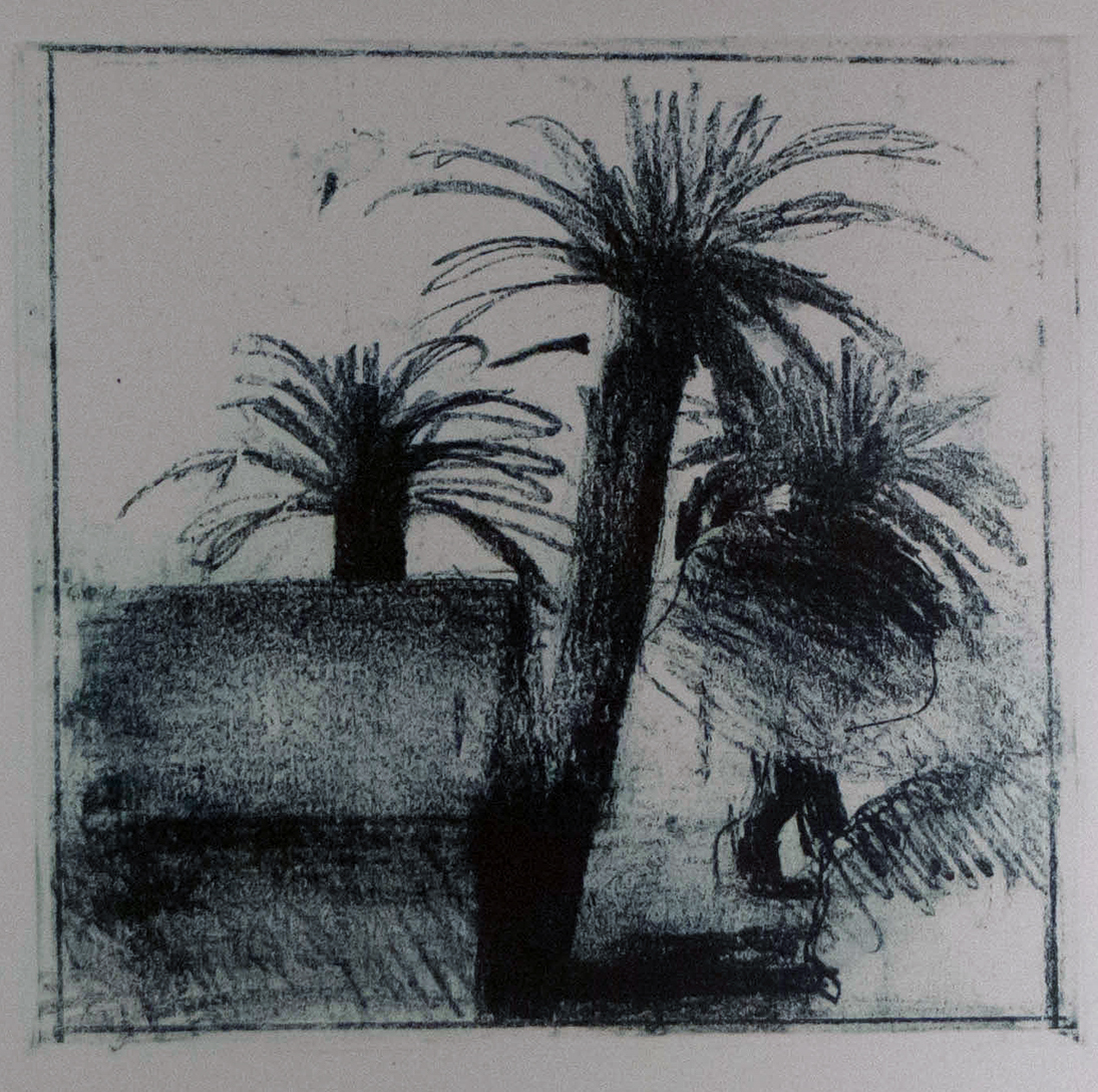 Landscape Black and White Palms_large